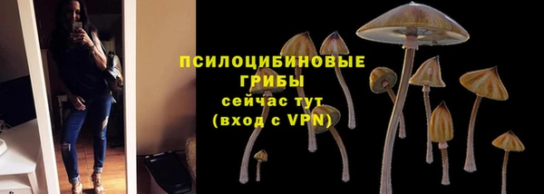 а пвп мука Инсар