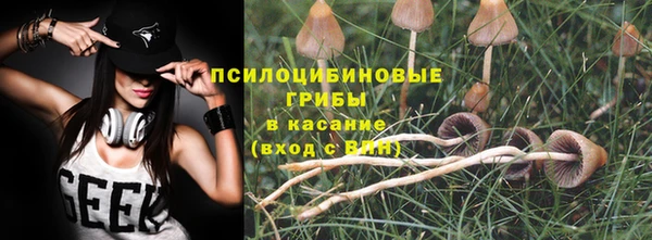 прущие крисы Иннополис
