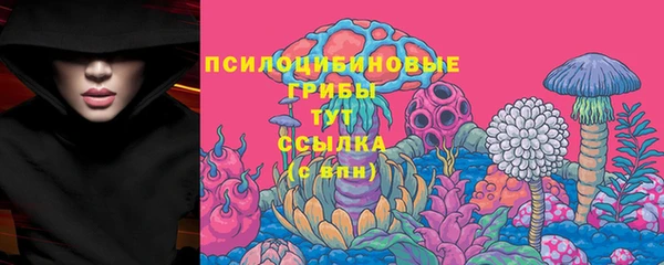 ECSTASY Инта